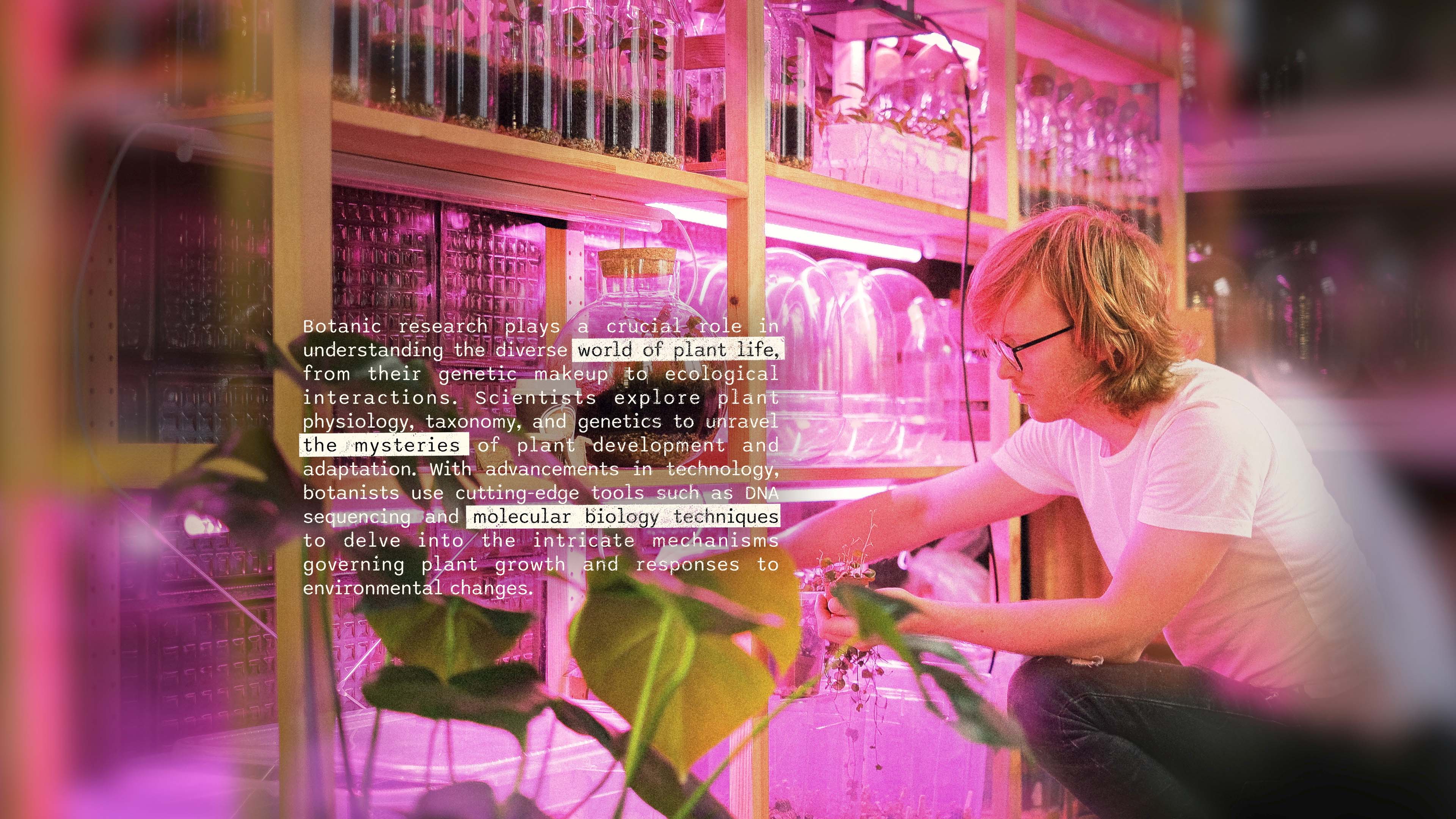 mScience_Final Cut Pro Effect_4