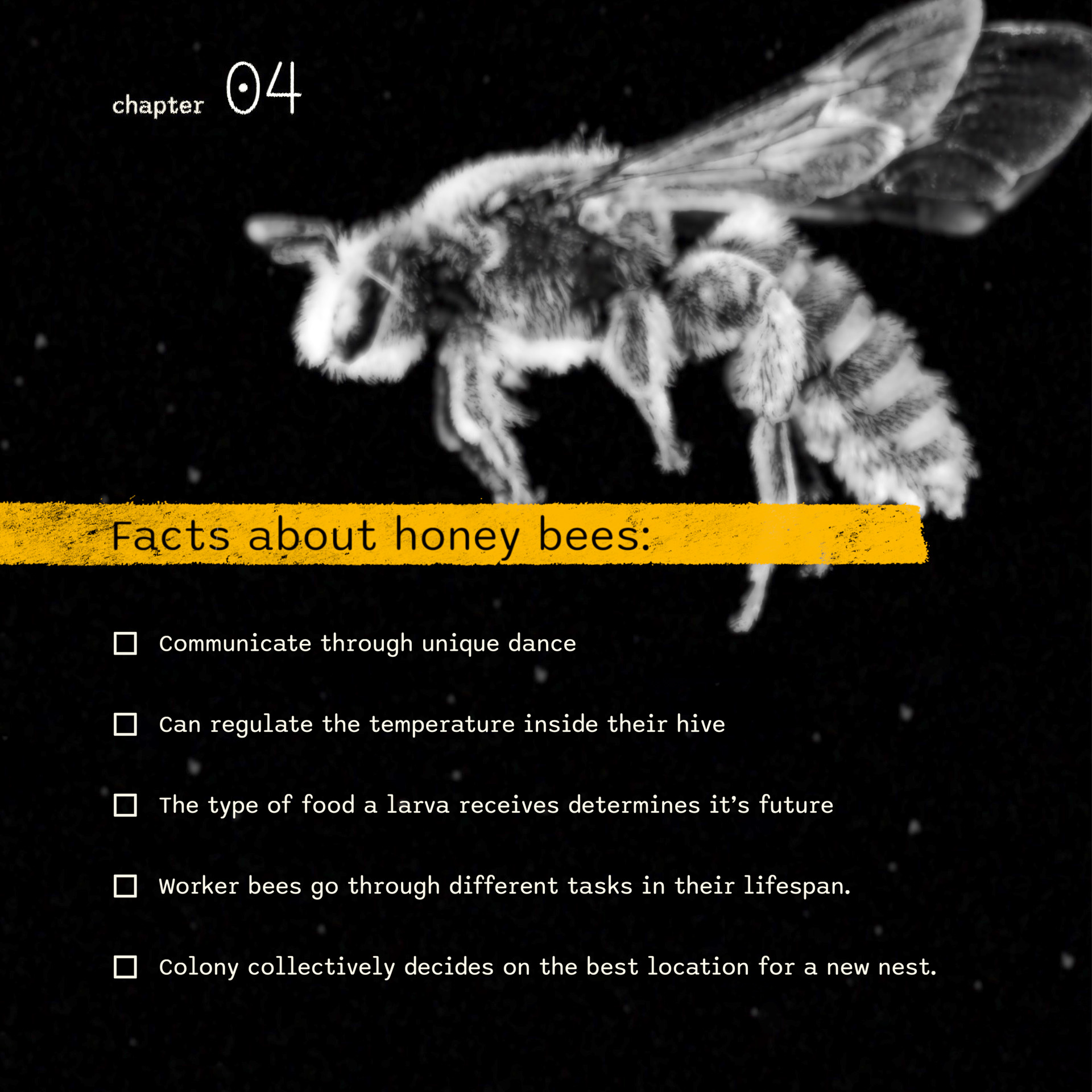 mScience_Final Cut Pro Effect_9