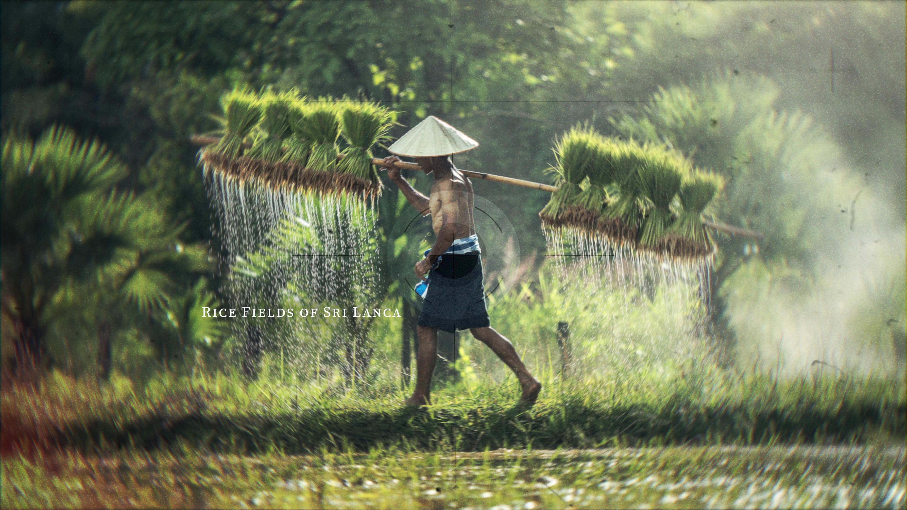 mDocumentary_Final Cut Pro Effect_4