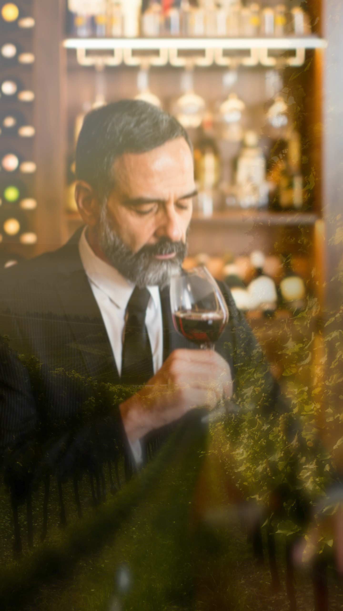 mStyle Old Money _Final Cut Pro Effect_luxury vineyards represent the pinnacle of winemaking, known by their exclusivity, high-quality production, and the unique terroirs in which they are situated