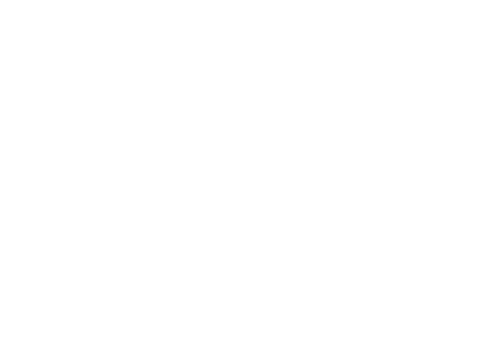 mTransition Movie