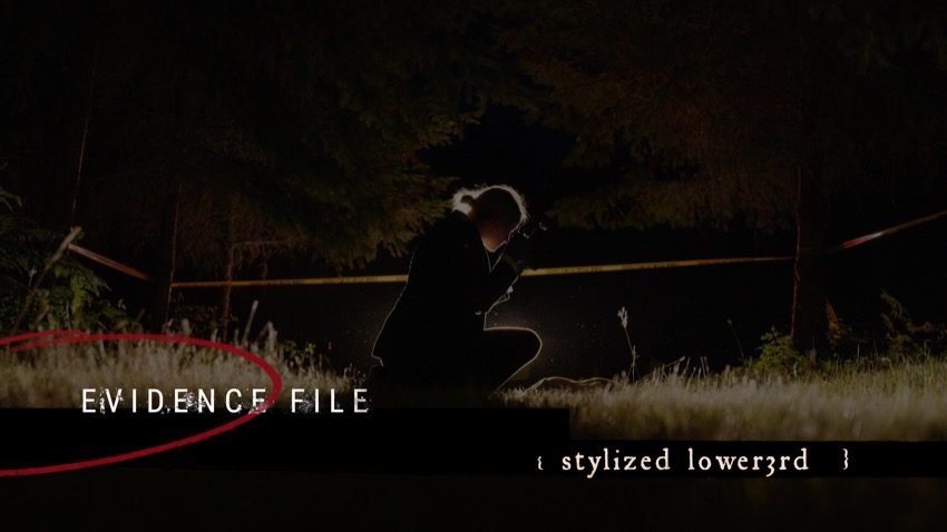 A Selection Of Diverse Lower3rds for FCP