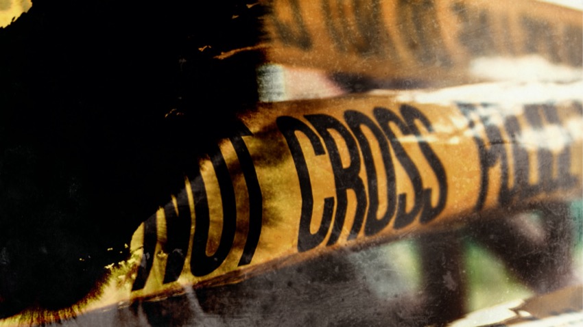 Selection of Diverse Transitions for Final Cut Pro