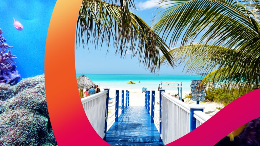 Selection of Diverse Transitions for Final Cut Pro