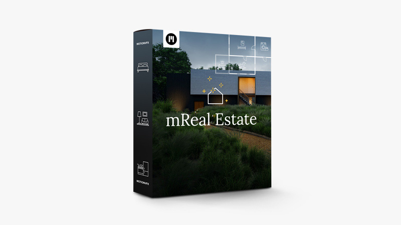 mReal Estate DVR